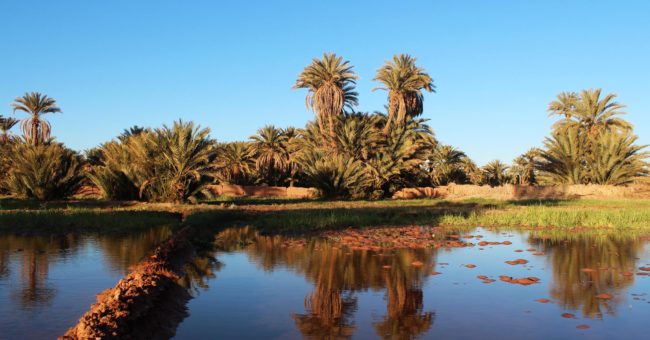 Visit Tafilalet Oasis - Heritage and Nature in Morocco - Visit Tafilalet